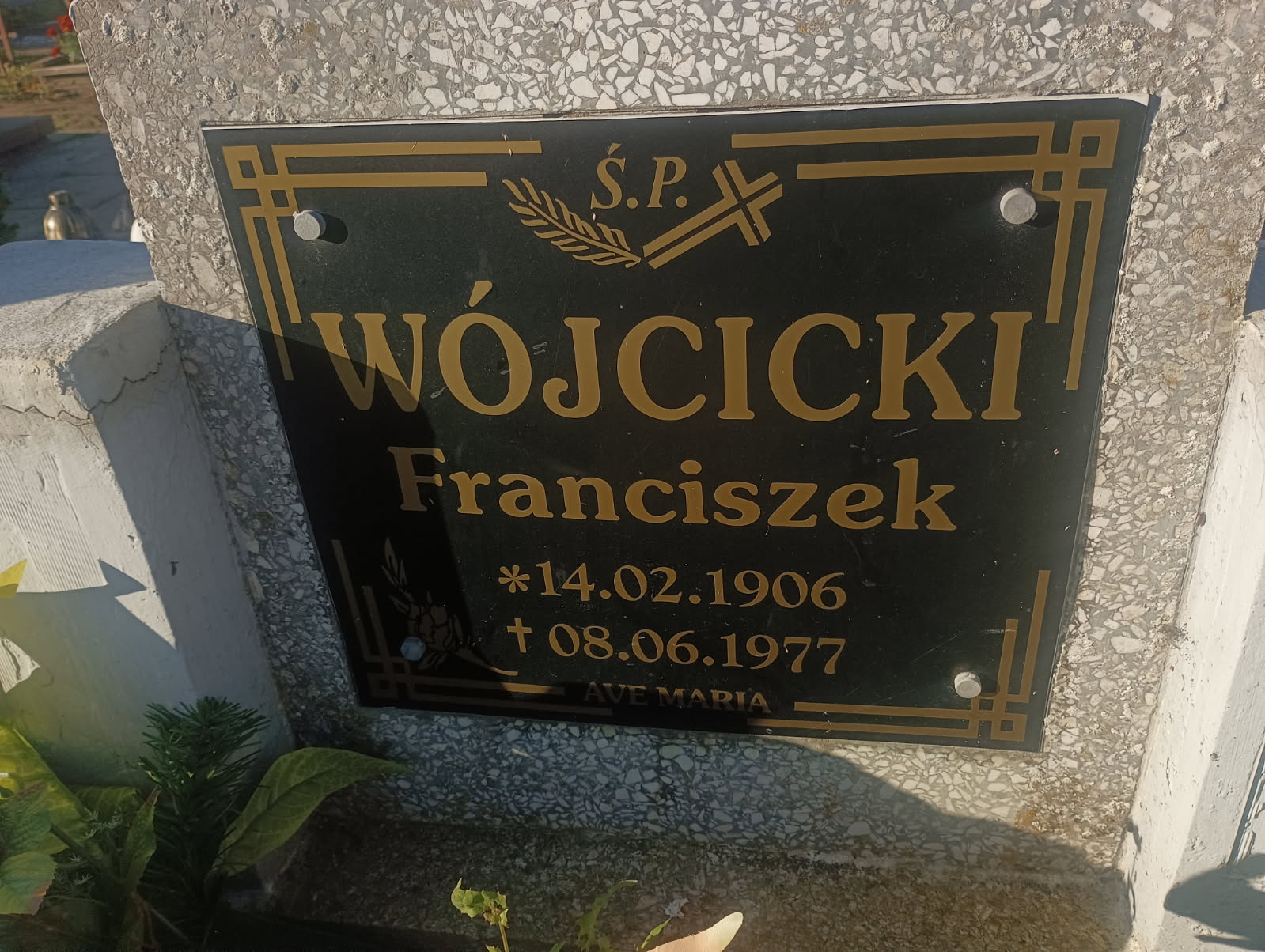 Franciszek Wójcicki 1906 Drawsko Pomorskie - Grobonet - Wyszukiwarka osób pochowanych