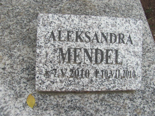 Józef Mendel 1910 Drawsko Pomorskie - Grobonet - Wyszukiwarka osób pochowanych