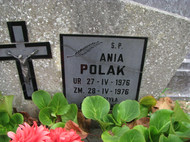Grób Anna Polak