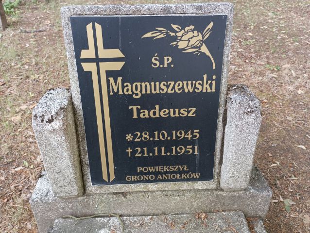 Tadeusz Magnuszewski 1945 Drawsko Pomorskie - Grobonet - Wyszukiwarka osób pochowanych